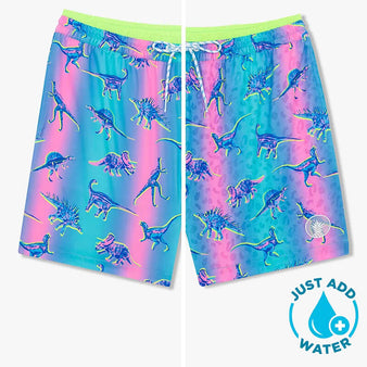 Youth Chubbies The Dino Delights Magic Classic Swim Trunk