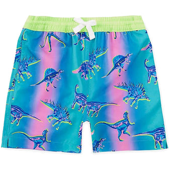 Youth Chubbies The Dino Delights Magic Classic Swim Trunk